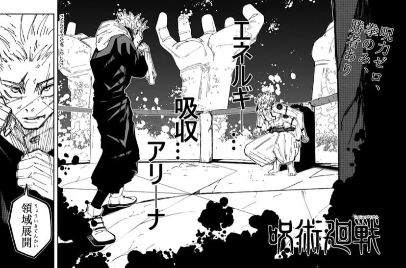 呪力ゼロ、拳のみ、勝者あり。エネルギー・・・吸収・・・アリーナ